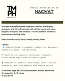 HOLA Hacivat - Inspired by Ni*hane Hacivat
