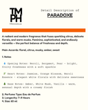 Paradoxe - Inspired by Pr*da Paradoxe