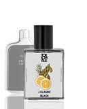 J Classic Black - Inspired by Ja*uar Classic Black