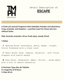 Escape - Inspired by Escape by Ca*vin Klein