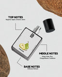 Paradoxe - Inspired by Pr*da Paradoxe